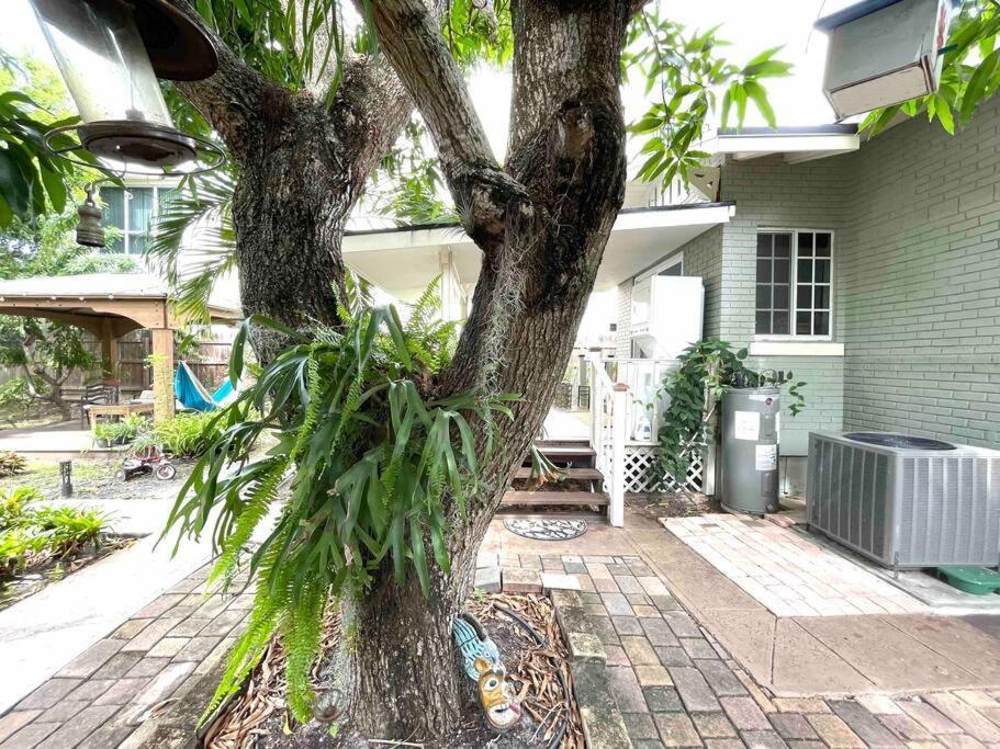Independent Studio In Little Havana ไมอามี ภายนอก รูปภาพ
