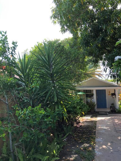 Independent Studio In Little Havana ไมอามี ภายนอก รูปภาพ